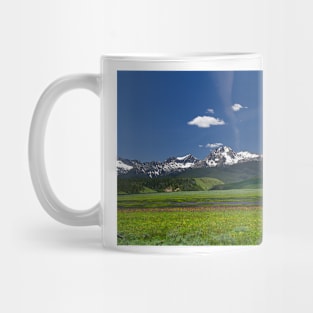 850_1930 Mug